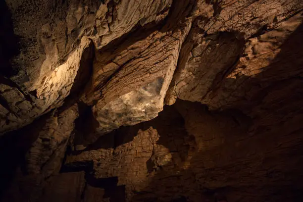 Photo of Ruakuri Caves Waitomo