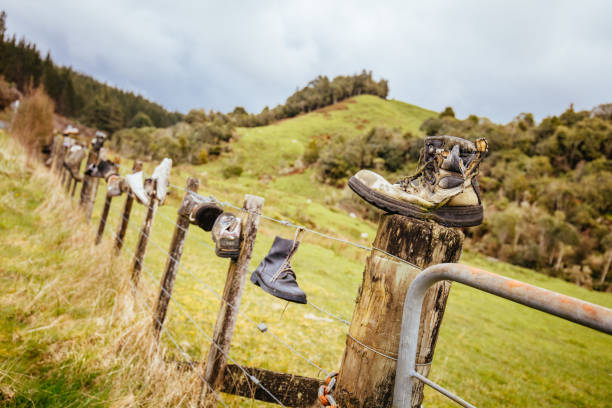 Tramping boots are laid out on a fence along Te Anga Rd near Waitomo in New Zealand