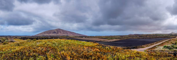 istock Lanzarote, Canary Islands - agricultural volcanic fields 1163735683