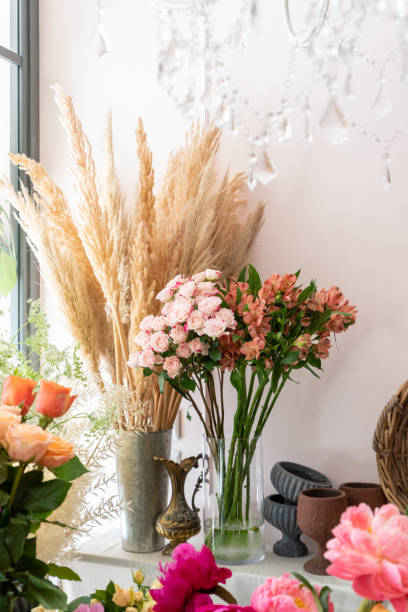 istock Beautiful cactus at the florist shop 1163738127