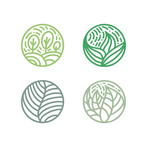 Set of tropical plant green leaves . Round bio emblem in a circle linear style. Vector abstract badge for design of natural products, flower shop, cosmetics, ecology concepts, health, spa, yoga Center Set of tropical plant green leaves . Round bio emblem in a circle linear style. Vector abstract badge for design of natural products, flower shop, cosmetics, ecology concepts, health, spa, yoga Center. message of nature stock illustrations