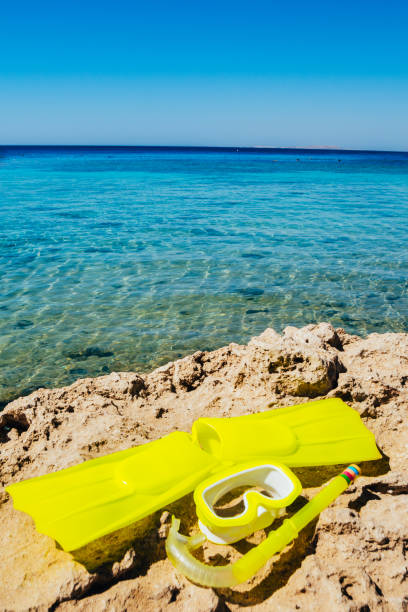 istock yellow swimming flippers and mask 1163739631