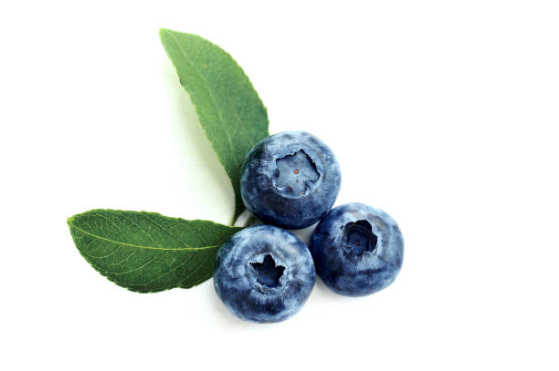 istock Summer blueberry isolated on white background. Berries for design. Close up top view or flat lay with place for your text 1163739867
