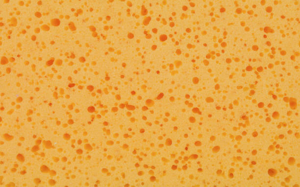 istock orange sponge detail abstract background 1163741401