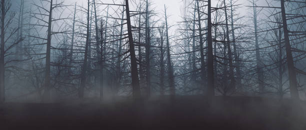 Dead Tree Shadows 7,900+ Dead Tree Shadow Stock Photos, Pictures & Royalty-Free Images ...