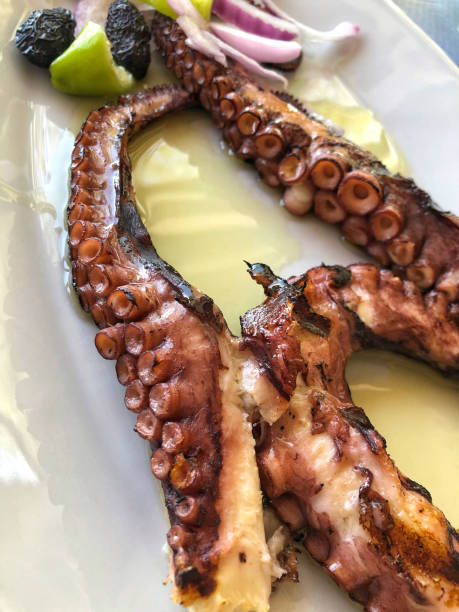 istock delicious grilled octopus on plate 1163745142