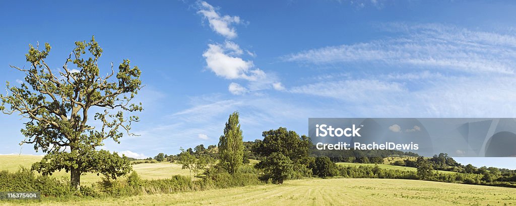 Exuberante paisaje pintoresco. - Foto de stock de Agricultura libre de derechos