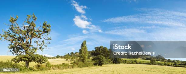 Exuberante Paisaje Pintoresco Foto de stock y más banco de imágenes de Agricultura - Agricultura, Aire libre, Azul