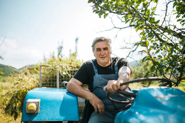 istock I love my old tractor 1163756531
