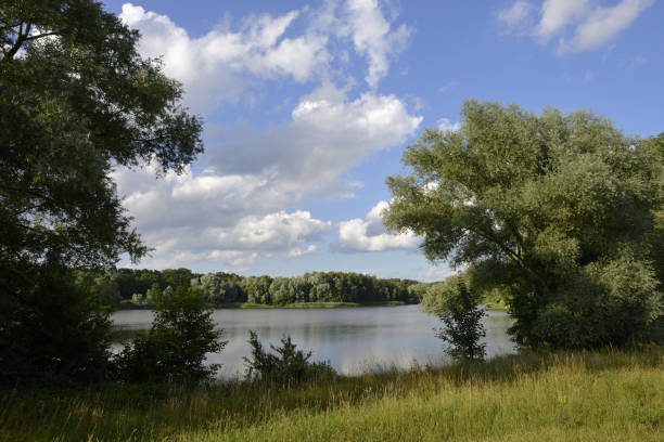 istock Lake in autumn by sunny weather and white clouds 1163757989