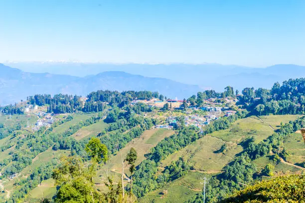 Darjeeling hill side primeval Pristine and well-preserved Himalayan gives Magical feel of Himalayan fairy tale. Amazing place of hidden valley landscape covered with forests and snow capped mountains.