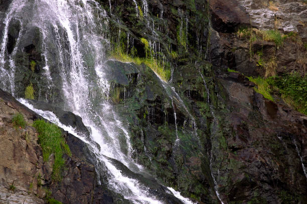 черная скала и белая вода, зеленые влажные растения, водопад крупным планом. - f04 стоковые фото и изображения