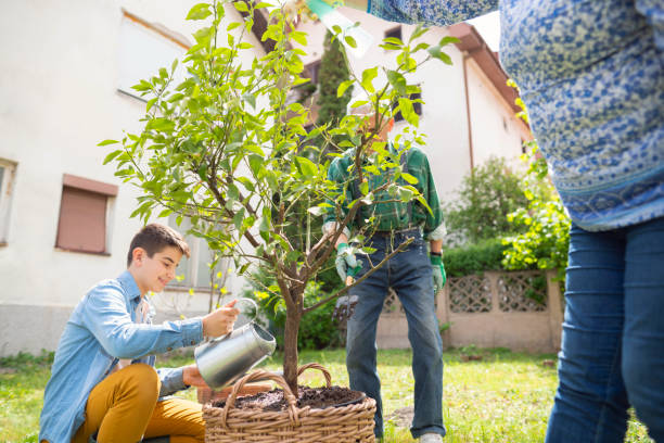 istock Plant a garden plant happiness 1163759563