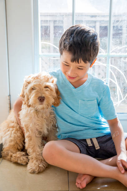 istock Puppy and a little Boy 1163760883
