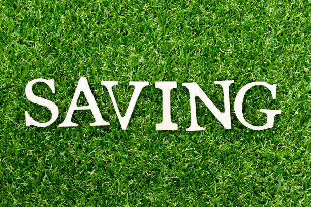 istock Wood alphabet letter in word saving on green grass background 1163764028