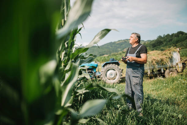 istock Mature farmer flying a drone over a field 1163765614