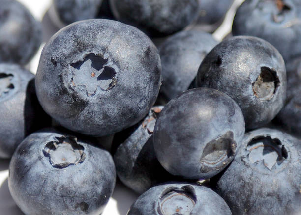 istock A pile of fresh blueberries 1163766199
