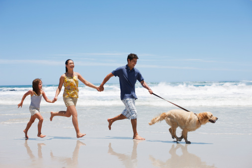 Family with dog running on beach