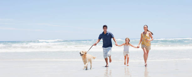 famiglia con cane in esecuzione sulla spiaggia - family fun running couple foto e immagini stock