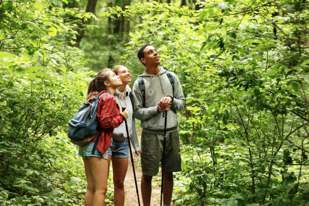 istock Portrait of young hikers in nature. 1163770820