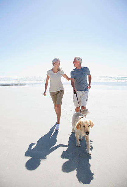 senior couple avec un chien marchant sur la plage - retirement beach women vacations photos et images de collection
