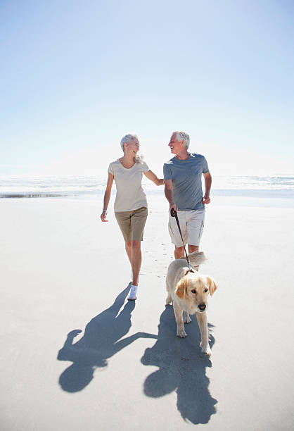 casal sênior andando com cachorro na praia - retirement couple beach senior adult - fotografias e filmes do acervo