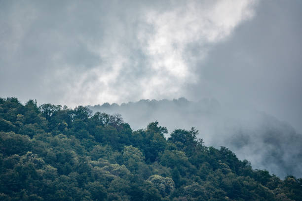 istock High mountains with forested slopes and peaks hidden in the clouds. 1163773209