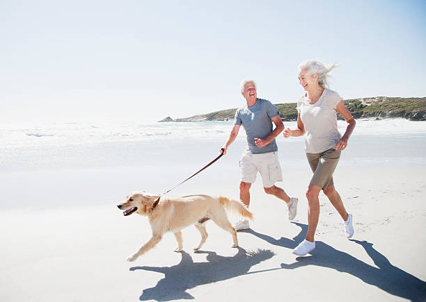 altes paar laufen am strand mit hund - couple senior adult travel action stock-fotos und bilder