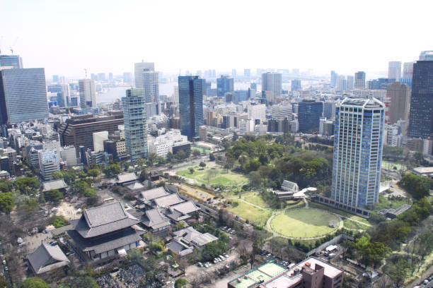 istock Aerial view on Tokyo, Japan 1163773397