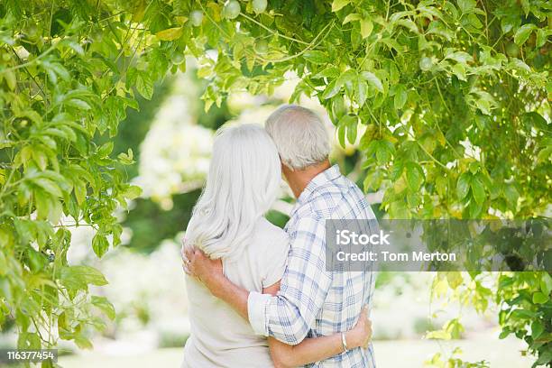 Senior Couple Hugging Under Tree Stock Photo - Download Image Now - 60-64 Years, 65-69 Years, Active Seniors