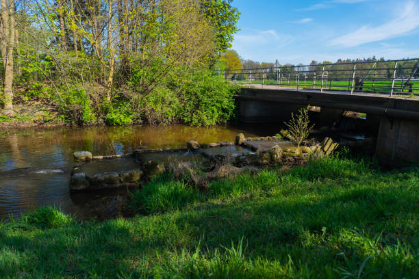istock The water always finds its way through nature 1163774727