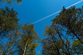 beim-wandern-einen-herrlichen-blick-auf-die-natur.jpg?b=1&s=170x170&k=20&c=x5pffXxEQ4cqotVm0ad27g7p2akk9tNyntXICkWAKnE=