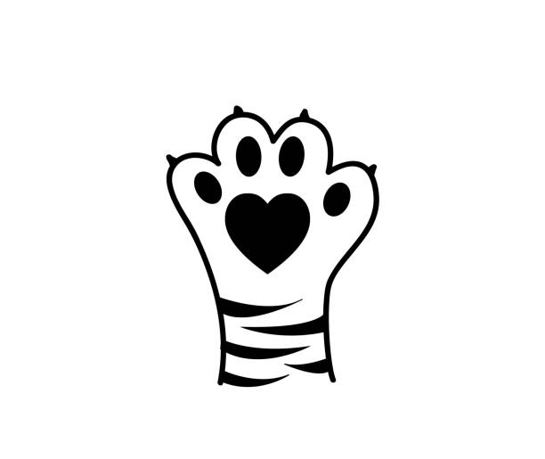 Tiger Paw Print Illustration Stock Illustration - Download Image Now - Tiger,  Paw, Claw - iStock
