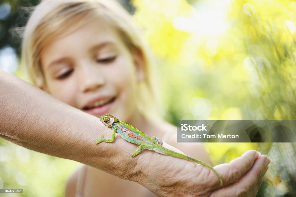 Niña mirando lagarto en grandmothers brazo - Foto de stock de Niño libre de derechos