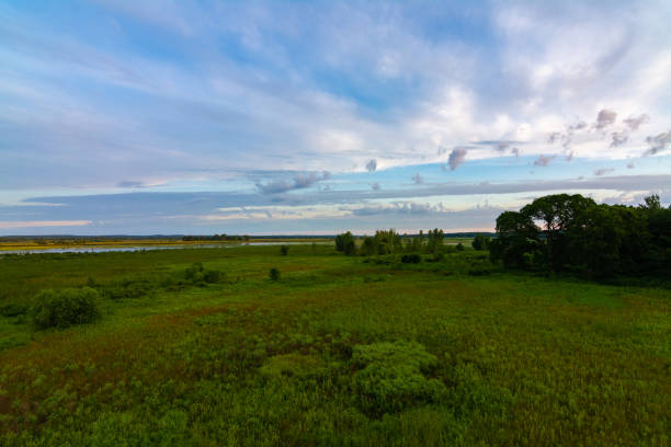istock Dixon Waterfowl Refuge at sunrise 1163778250