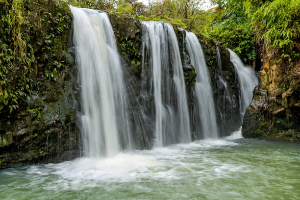 滝と緑の池 - ハナハイウェイ、マウイ島、ハワイ、アメリカ合衆国への道の側にプアカー州ウェイサイドパークの明確な緑の池に流れる強く、広い滝。 - waterfall maui hawaii islands hana ストックフォトと画像
