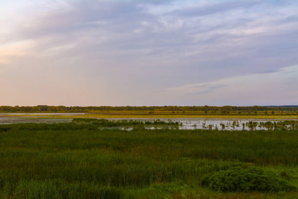 istock Dixon Waterfowl Refuge at sunrise 1163778581