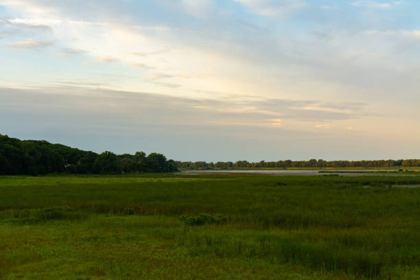 istock Dixon Waterfowl Refuge at sunrise 1163779133