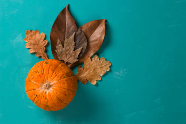 istock pumpkin and autumn leaves  on a blue background 1163781729