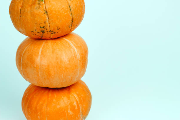 istock pumpkins isolated on a blue background copy space 1163781800