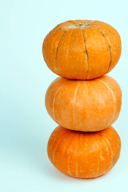 istock pumpkins isolated on a blue background copy space 1163781888