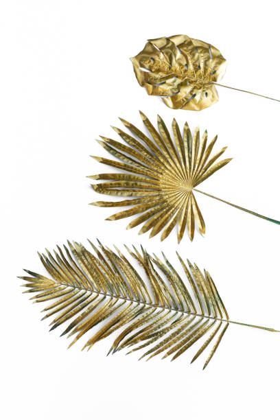 istock golden palm tropical leaves isolated on white background 1163784078