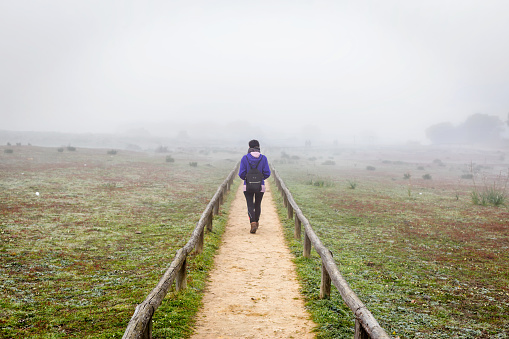 Traveler woman walking alone on a field surrounded by fog. Alone woman from back walking through the fog in forest.