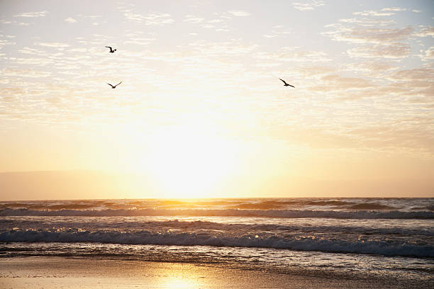 nascer do sol sobre o mar - sunset sea beach sun - fotografias e filmes do acervo