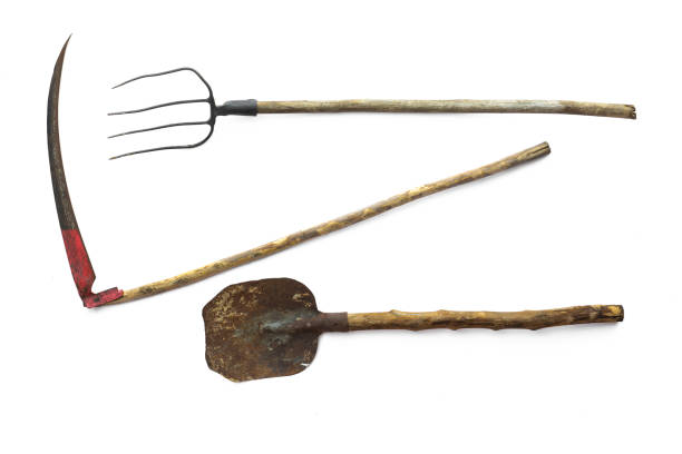 istock vintage agricultural tools on white background 1163785187