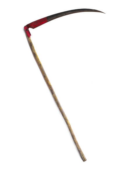 istock agricultural spit,scythe on halloween isolated on white background 1163785297