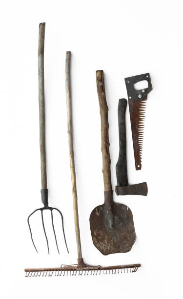istock vintage agricultural tools on white background 1163785465