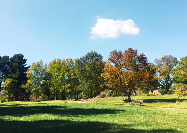 istock A Perfect Day in Ifrane, Morocco 1163785524