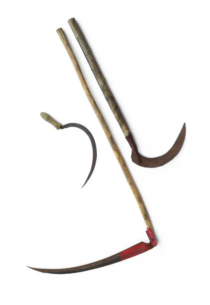 istock agricultural spit,scythe on halloween isolated on white background 1163786857
