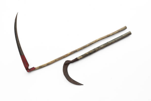 istock agricultural spit,scythe on halloween isolated on white background 1163786940